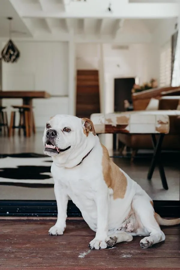 Nyaraló Black On Belongil Byron Bay Ausztrália